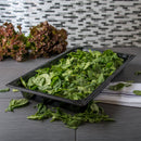 Carlisle 6658421 StorPlus Full Size 2.5" Deep Food Pan PC