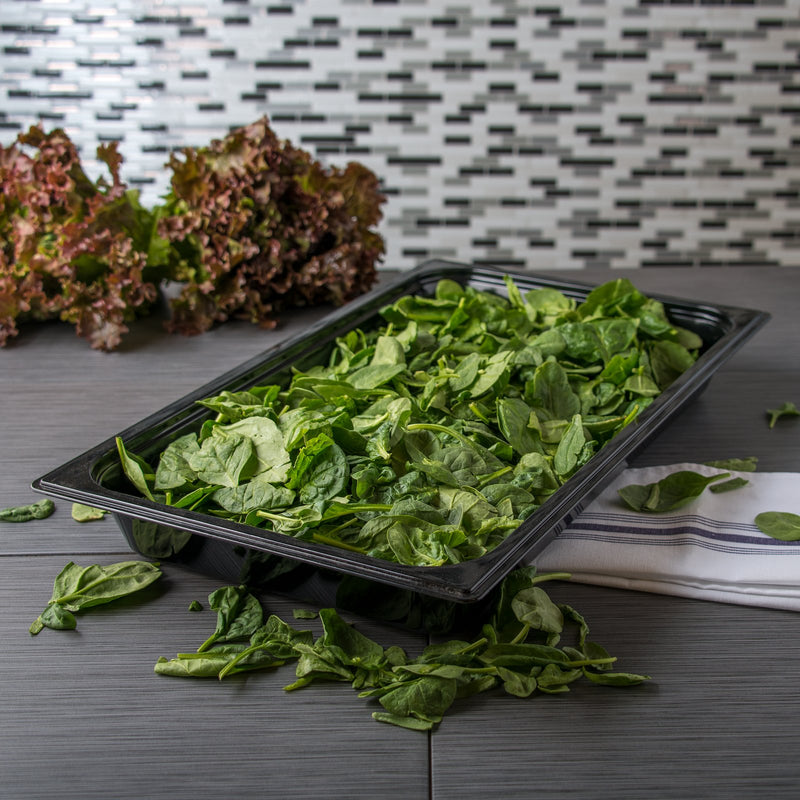 Carlisle 6658421 StorPlus Full Size 2.5" Deep Food Pan PC