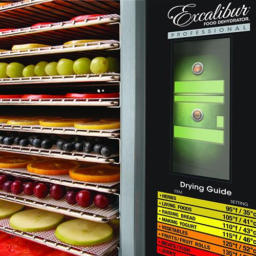Excalibur 1 Zone Commercial Food Dehydrator