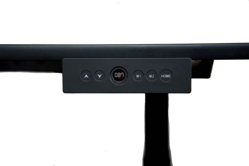 Luxor 60" Electric Standing Desk with Black Frame and Black Oak Top