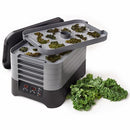 Excalibur 6-tray, Digital Stackable Dehydrator